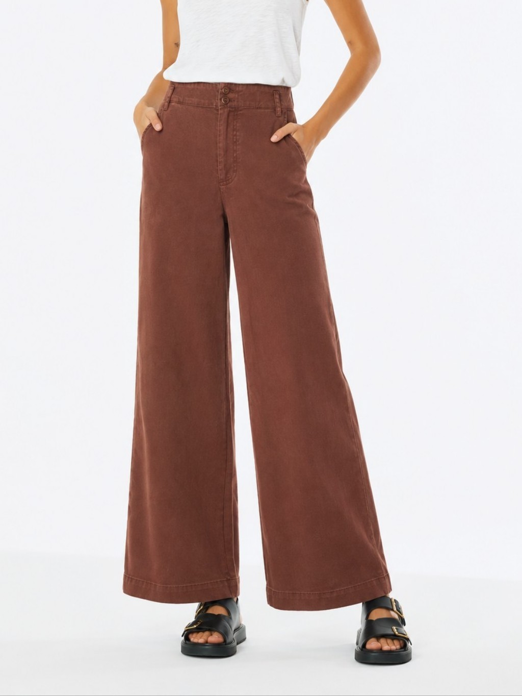 Young Fabulous & Broke Ryker Wide Leg Pants Brown Flat Front Elastic Waist Sz S